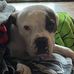 Profile Picture of Julie Colwell (@julie.colwell.184) on Facebook