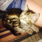 Profile Picture of Rhiannon Hodge Garrett Hill (@@pur_for_rhiannon) on Instagram