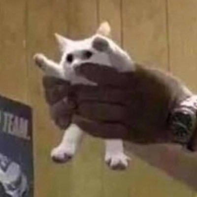 Profile Picture of Leo Vargas (@LeoVargasUx) on Twitter