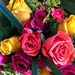 Profile Picture of Lisa Kohm (@kohm0310) on Pinterest