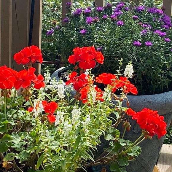 Profile Picture of Robyn Genualdi (@genu26) on Poshmark