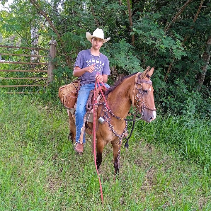 Profile Picture of pawelskinho (@alisonpawelski) on Tiktok