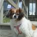 Profile Picture of Gene Fritzinger (@gene.fritzinger) on Facebook