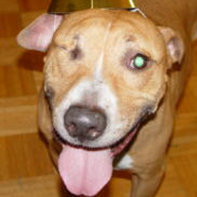 Profile Picture of James Satoru Straus (@AAngelarch) on Twitter