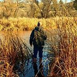 Profile Picture of Trevor Dane Werner (@trevorthegreatdane) on Instagram