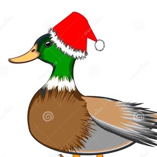 Profile Picture of John Willy Kopperud (@Wippern) on Facebook