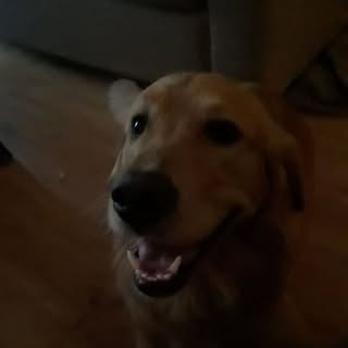 Profile Picture of Daniel Wortman (@wortmandaniel) on Instagram