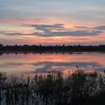 Profile Picture of ackmanswayne (@ackmanswayne) on Instagram