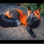 Profile Picture of dochter van mama en mamie❤ (@dochter_van_mama_en_mamie) on Instagram