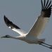 Profile Picture of Thomas Reske (@Thomas-Reske) on Facebook