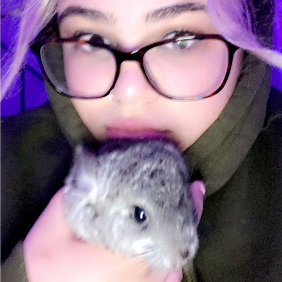 Profile Picture of Olivia Febbriello (@oliviamae844) on Poshmark