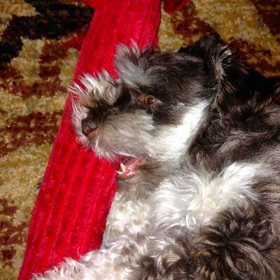 Profile Picture of Bryan Searle (@@searle71) on Twitter