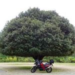 Profile Picture of Mirjam Jaksetič Dolgan (@jakseticdolgan) on Instagram