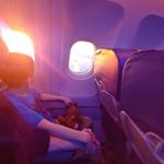 Profile Picture of Graham Oswald (@ozz.gs) on Instagram