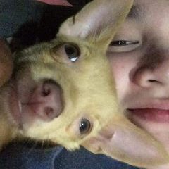 Profile Picture of jenniferenso0 (@jenniferenso0) on Tiktok