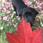 Profile Picture of Alex Watts (@a.watts_photography) on Instagram