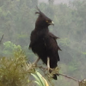 Giuseppe Badagliacca - Youtube Profile Picture of Giuseppe Badagliacca (@giubada) on Youtube