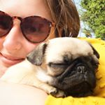 Profile Picture of Molly Murray (@adventures_of_jackjack) on Instagram