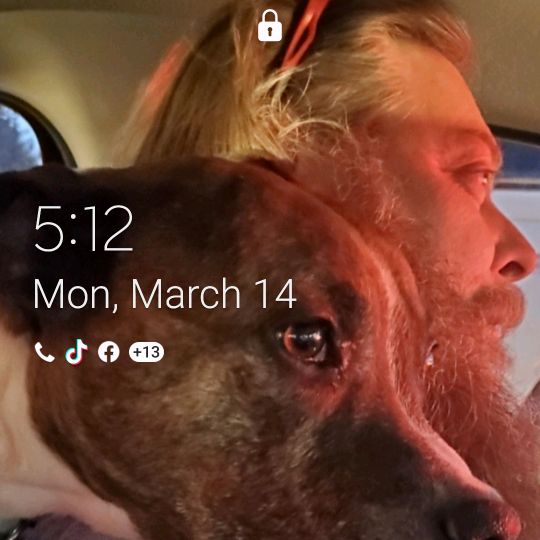 Profile Picture of Paul Flint (@paulflint) on Tiktok