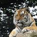 Profile Picture of David Blee (@blee5017) on Pinterest