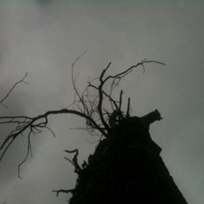 Profile Picture of Abbe Michael (@AbbeAbbemichael) on Twitter