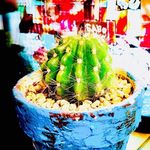 Profile Picture of 明石魚住プライベートサロン　RE:FRESH (@re_fresh1114) on Instagram