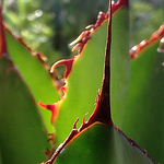 Profile Picture of Max Parker (@Max Parker2) on Flickr