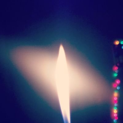 Profile Picture of Alex Calleros (@AlexCalleros8) on Twitter