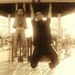 Profile Picture of Joey Hernandez (@joeyh87) on Pinterest