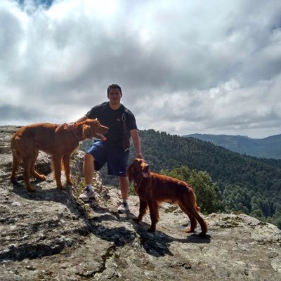 Profile Picture of Ricardo San Trigueros (@yolotlyaotl) on Twitter