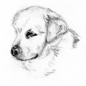 Profile Picture of James Hogan (@jamesmhogan) on Youtube