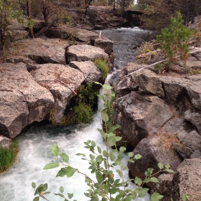 Profile Picture of Jason Vestal (@JVestalMetro) on Twitter