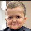 Profile Picture of Lee Pollock (@@leepollock_) on Tiktok
