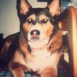 Profile Picture of turbo77 (@davepaulsen75) on Instagram