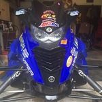 Profile Picture of Tim Hank (@timothy_hank) on Instagram