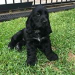 Profile Picture of Lola Ashelford (@little.lolas.life) on Instagram
