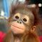 Profile Picture of Stan Unruh (@stan.unruh.7) on Facebook