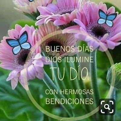 Profile Picture of Amanda Pichardo (@amanda_pichardo) on Twitter