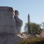 Profile Picture of Miss Baedeker (@newhartdcphilly20) on Instagram