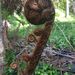 Profile Picture of Patrick Lockley (@lockleytribe) on Pinterest