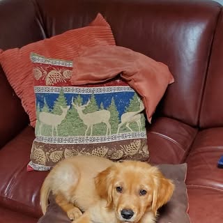 Profile Picture of Mark Atchue (@atchuemark) on Instagram