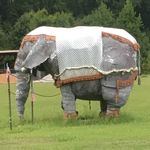 Profile Picture of Gayla Denise Alford Hodnett (@gaylahodnett) on Instagram