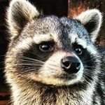 Profile Picture of James Berserker (@jamesberserker) on Instagram