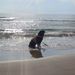 Profile Picture of Iris Medrano (@imedrano0932) on Pinterest