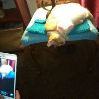 Profile Picture of Garry Blevins (@garry.blevins.106) on Facebook