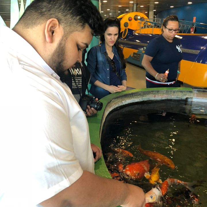 Profile Picture of Mohammad Arafat (@isssarafat) on Tiktok