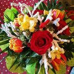 Profile Picture of Annett Peter Haufe (@annett.haufe.1) on Instagram