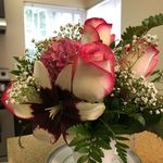 Profile Picture of Sharon Lowe (@blackqueengreenthumb) on Instagram