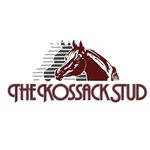 Profile Picture of The Kossack Stud | Arabian Horses (@thekossackstud) on Instagram