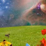 Profile Picture of Candi Guest (@Candi-Guest) on Facebook